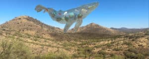 floating whale AR piece by drake arnold