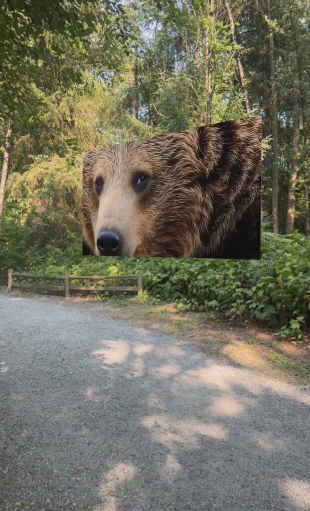 Dancing Bear, an augmented reality artwork at ART OUT SIDE in Port Moody, Canada, 2025