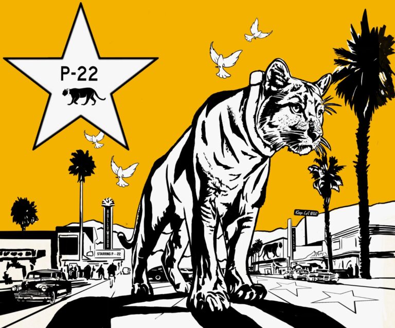 Corie Mattie's P-22 artwork: a black-and-white mountain lion under a star, with palm trees and doves on a yellow background