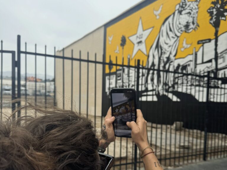 A visitor holds up a phone to scan Corie Mattie's P-22 mural, a black-and-white mountain lion on a yellow wall, to open its AR layer